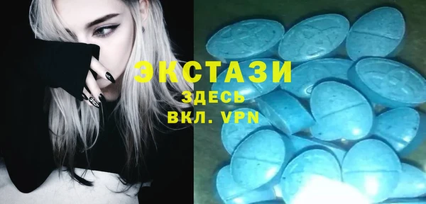 spice Новодвинск