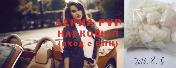 ешки Новозыбков