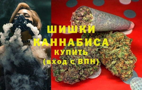 ешки Новозыбков