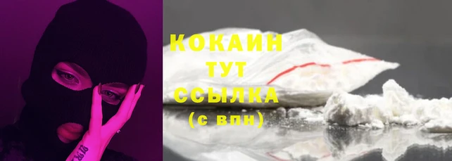 соль ск Новокубанск