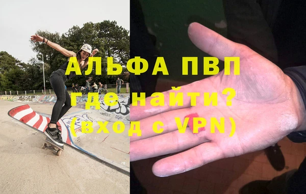 ешки Новозыбков