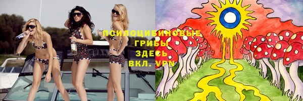соль ск Новокубанск