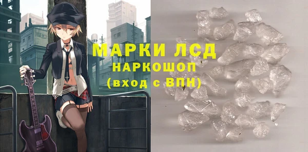 хмурый Анива